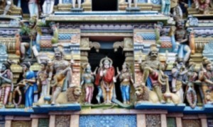 Интересное путешествие в Шри-Ланку