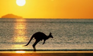 Коротко о туризме в Австралии